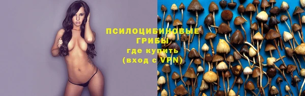 spice Алзамай