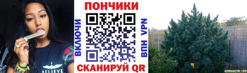 что такое   Струнино  Бошки марихуана VHQ 